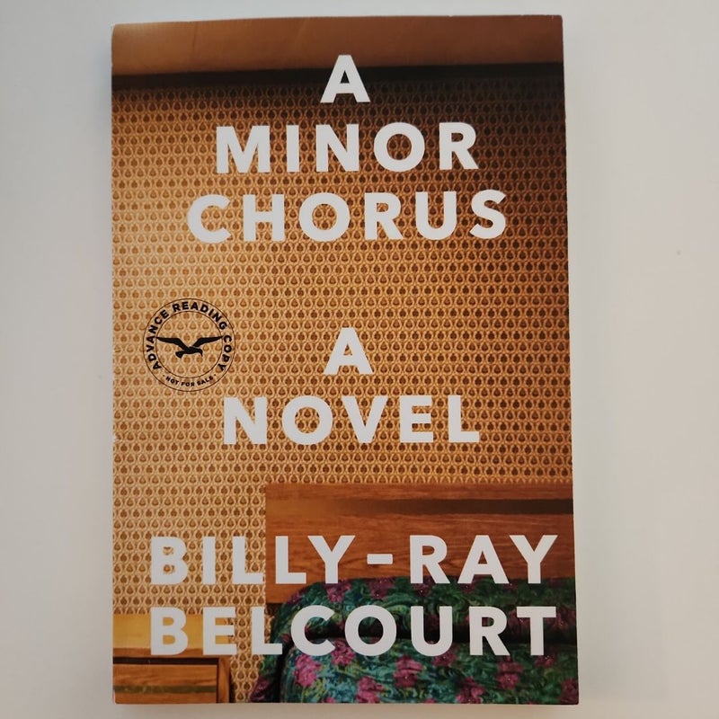 A Minor Chorus - a Novel