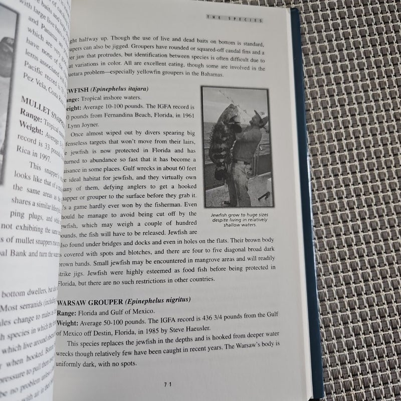 Complete Guide to Saltwater Fishing