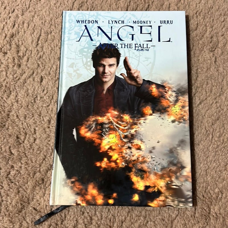 Angel: after the Fall, Vol. 4