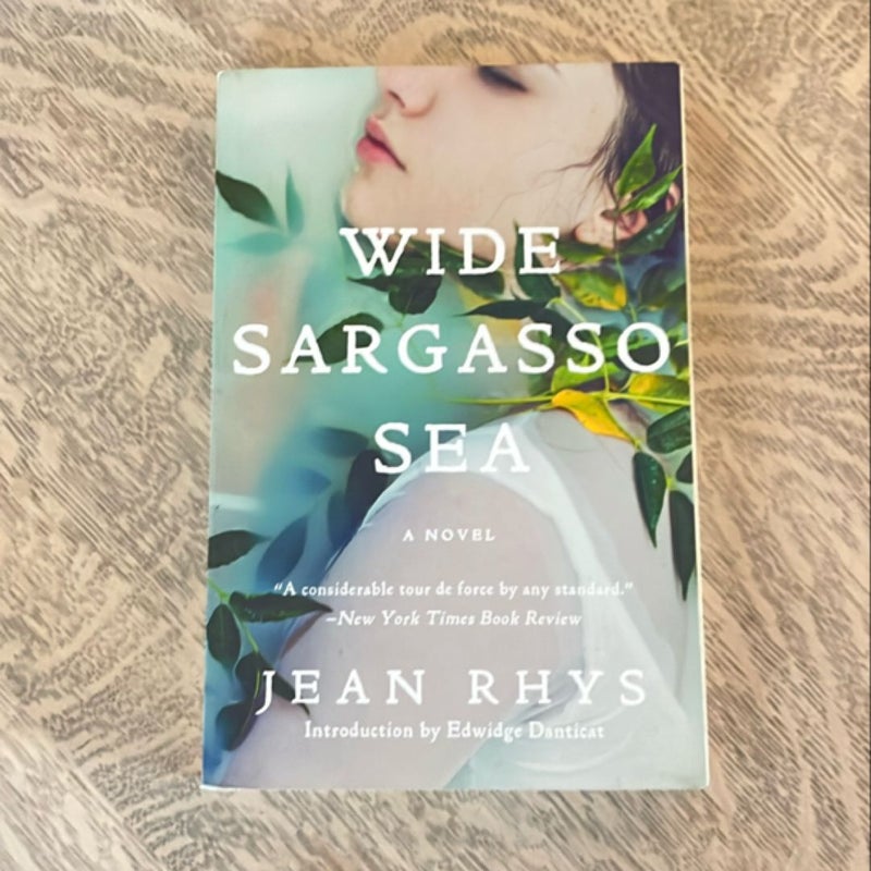 Wide Sargasso Sea