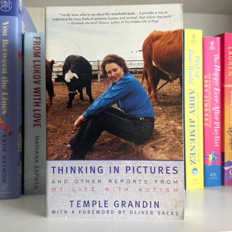Thinking in Pictures