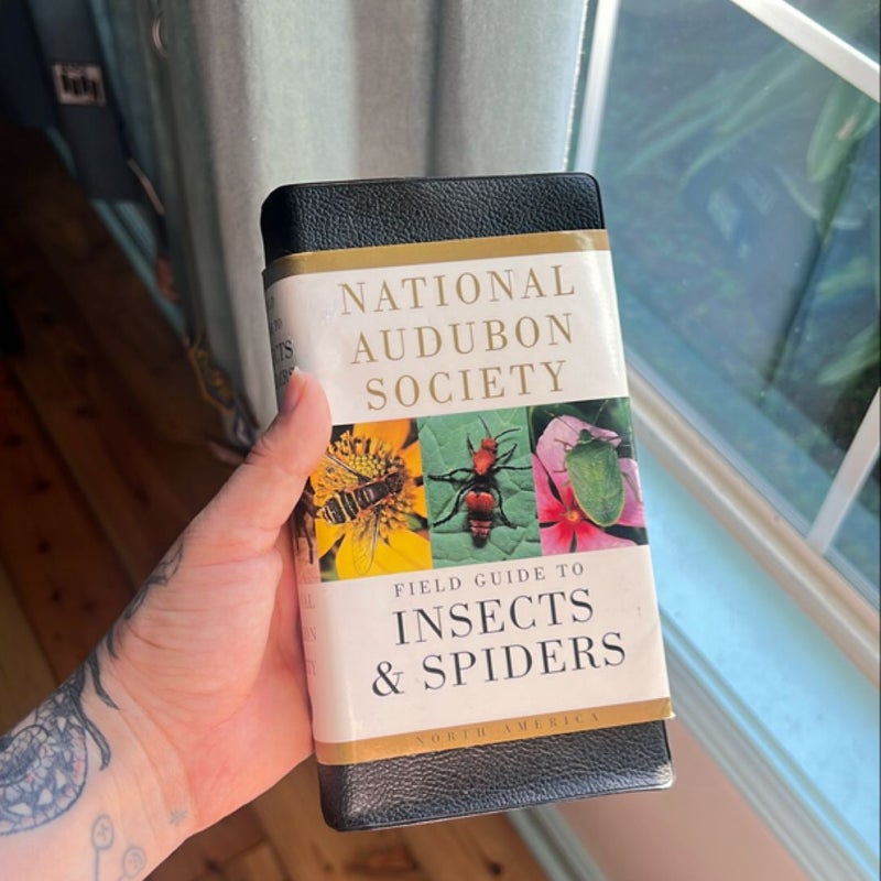 National Audubon Society Field Guide to Insects and Spiders