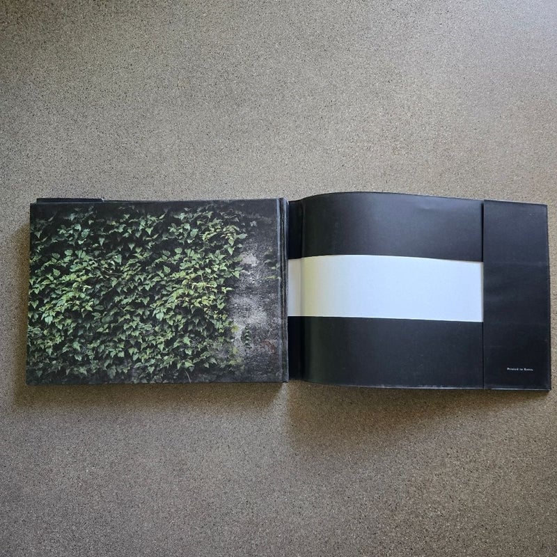 Anthony Goicolea Photography Art Book