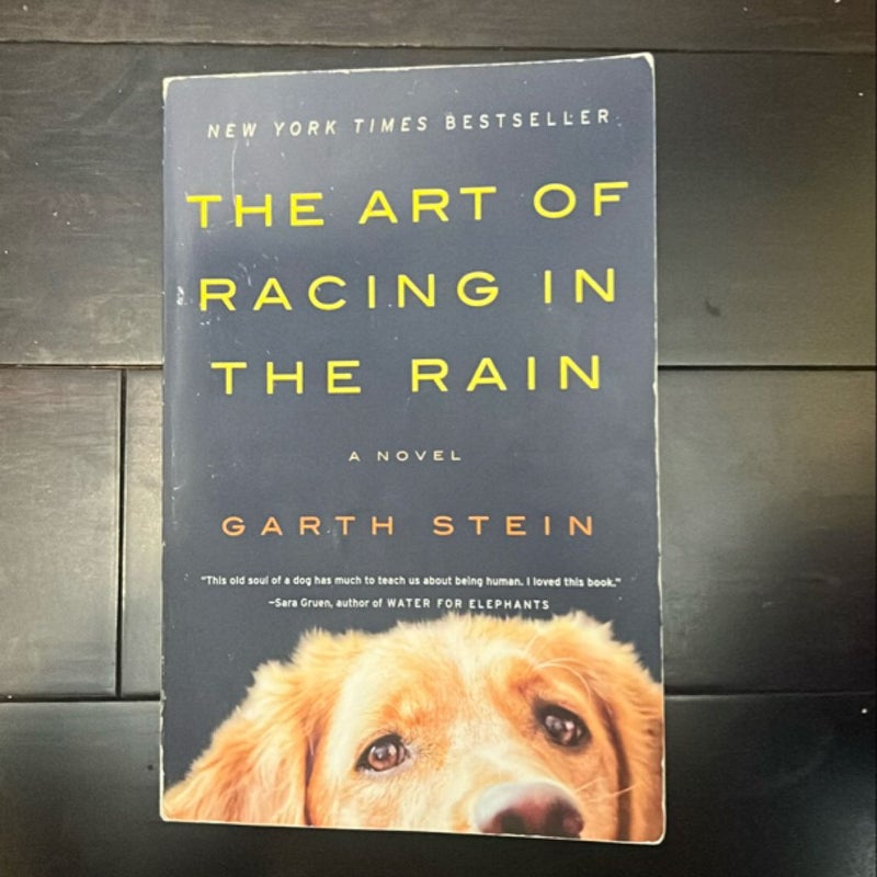 The Art of Racing in the Rain