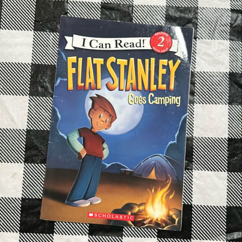 Flat Stanley Goes Camping