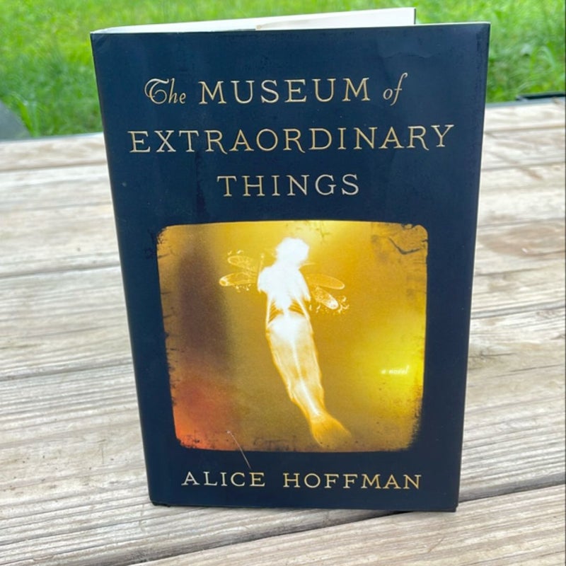 The Museum of Extraordinary Things