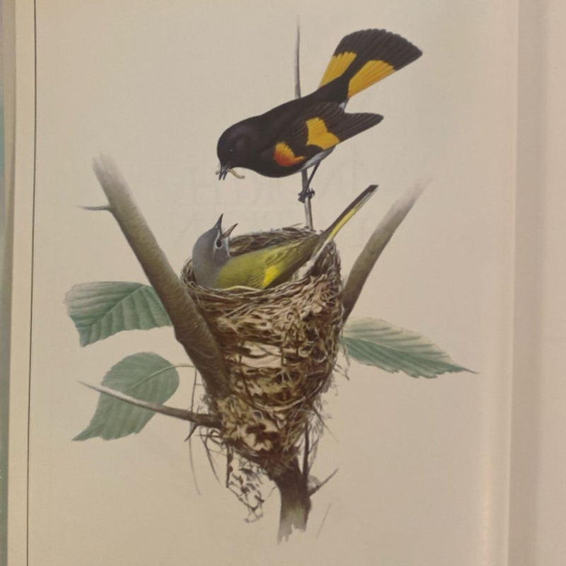 Book of North American Birds