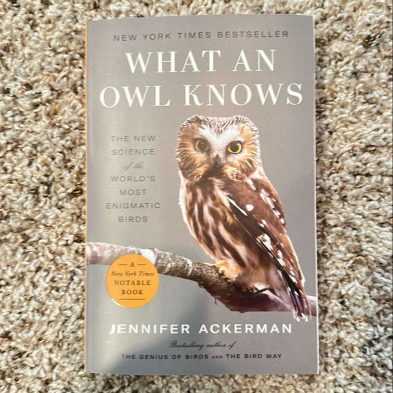 What an Owl Knows