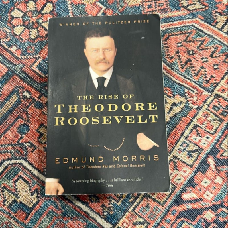 The Rise of Theodore Roosevelt