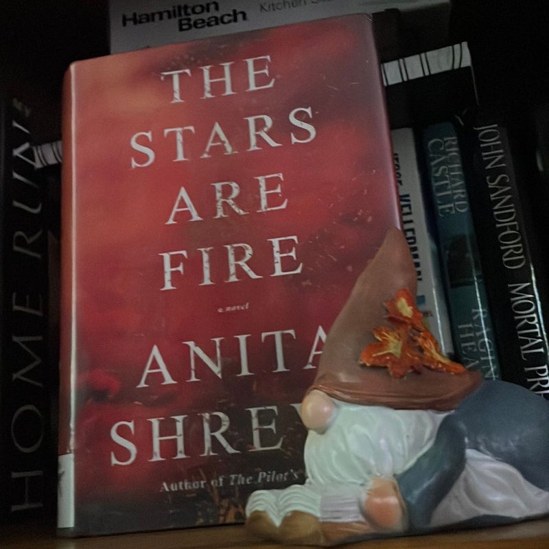 The Stars Are Fire (retired library book )