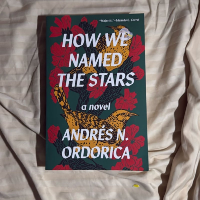 How We Named the Stars