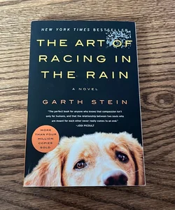 The Art of Racing in the Rain