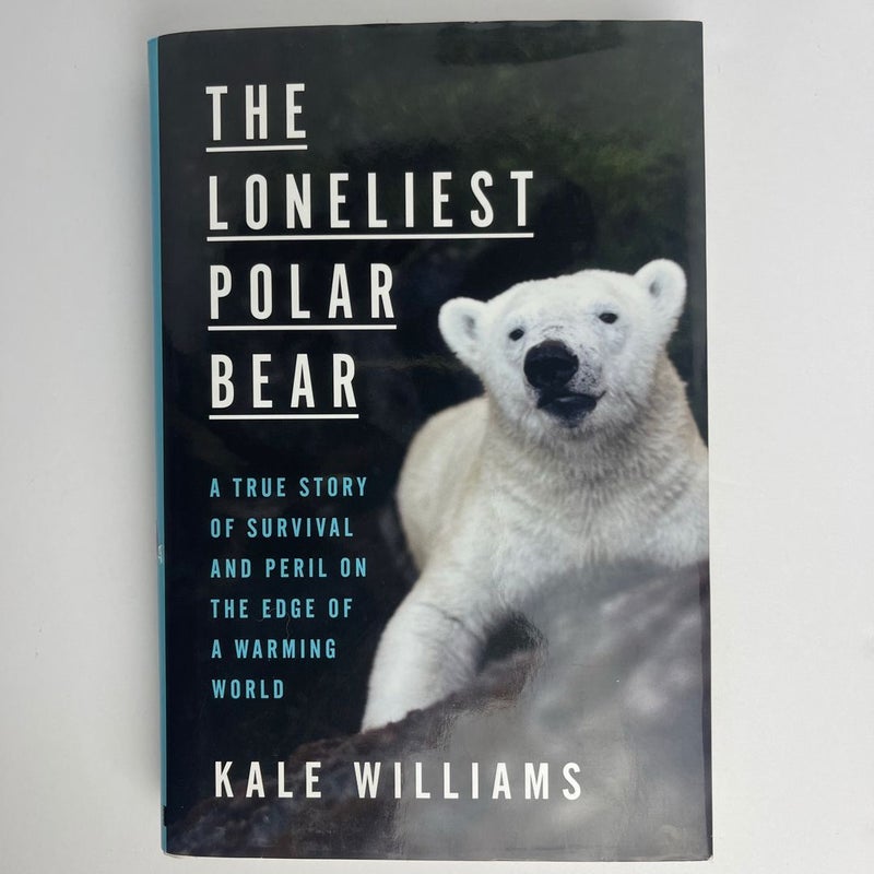 The Loneliest Polar Bear