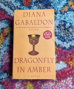 Dragonfly in Amber