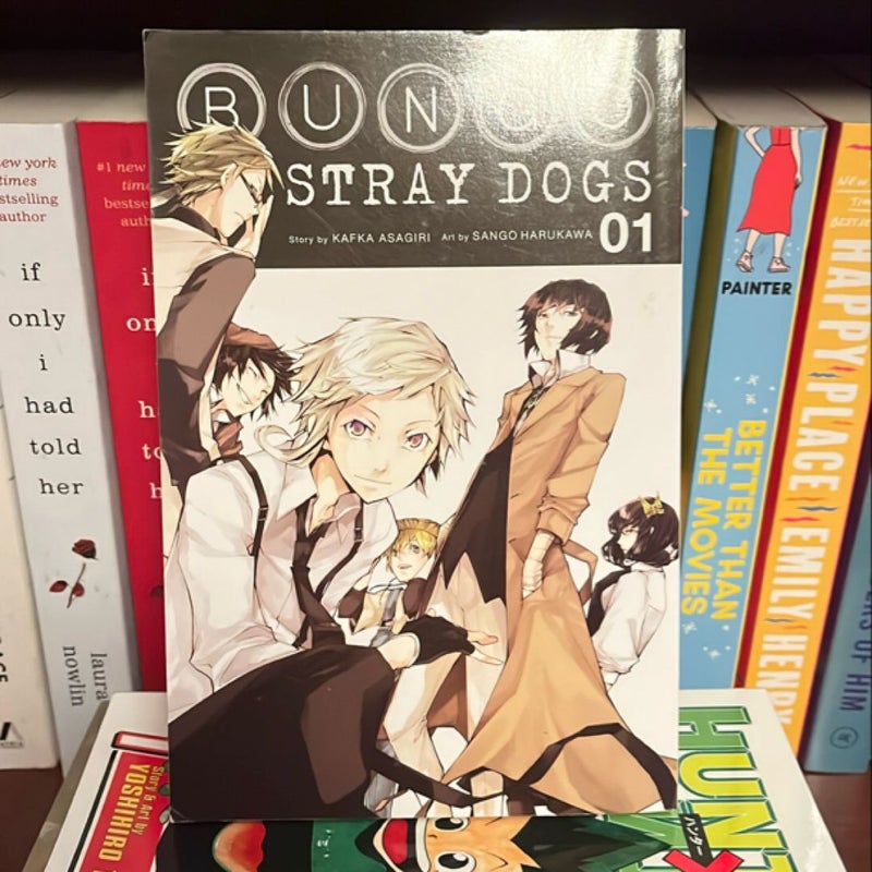 Bungo Stray Dogs, Vol. 1