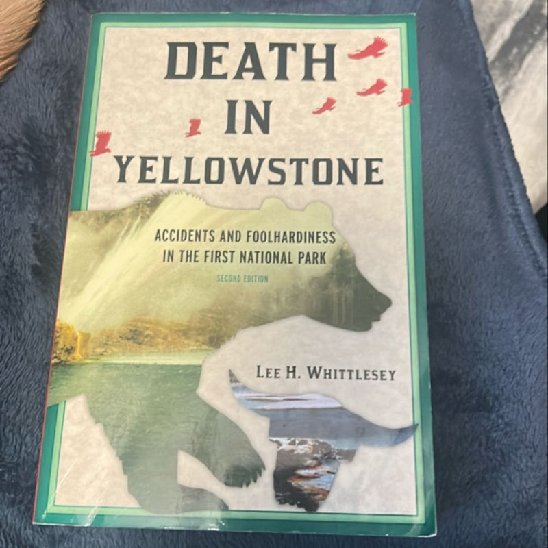 Death in Yellowstone