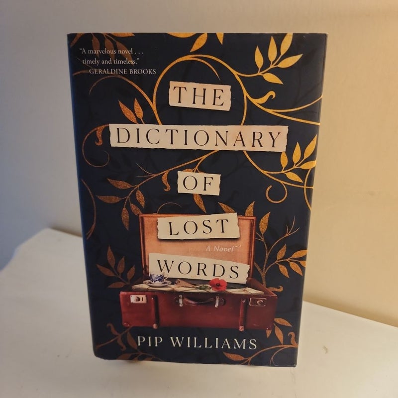 The Dictionary of Lost Words