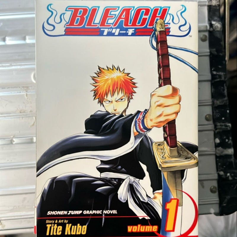 Bleach, Vol. 1