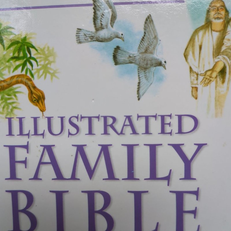 Illustrated Family Bible Stories