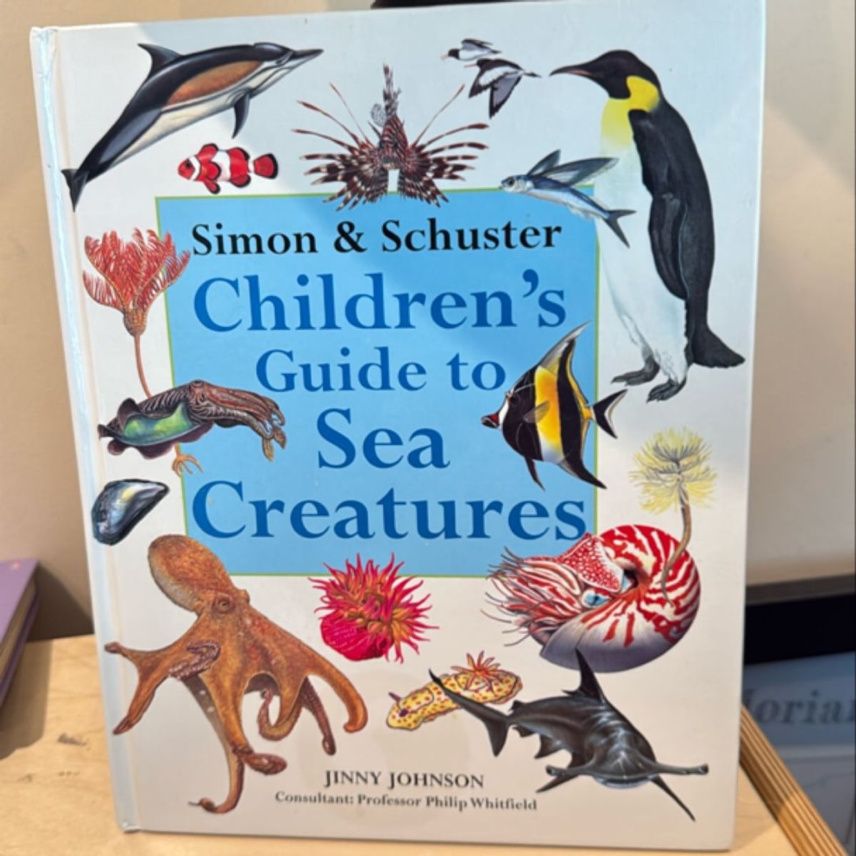 Simon and Schuster Children's Guide to Sea Creatures by Jinny Johnson