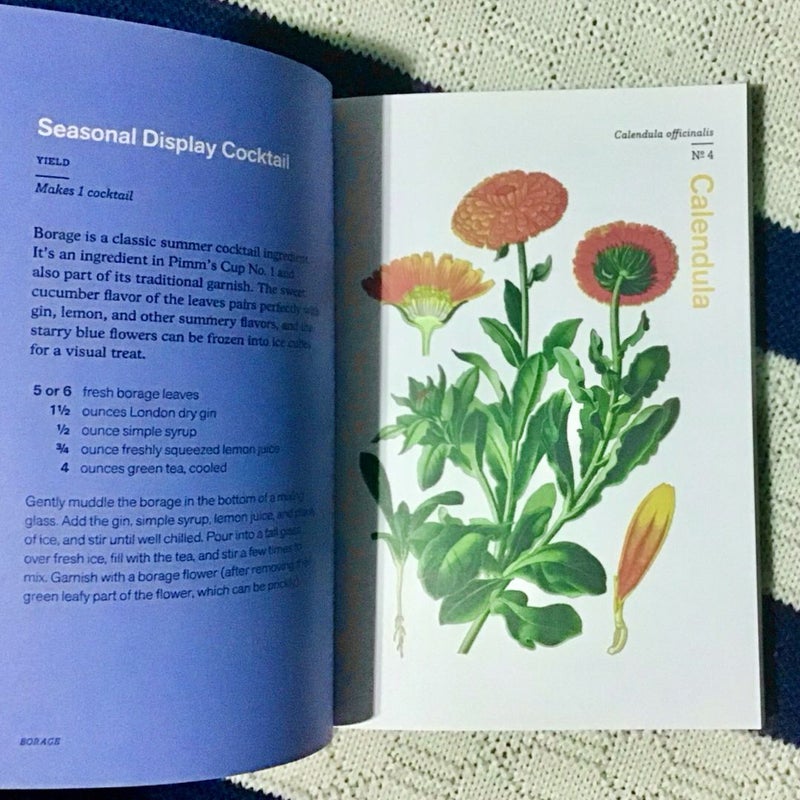 Herbal Handbook: 51 Profiles in Words and Art from the Rare Book and Folio Collections of The New York Botanical Garden