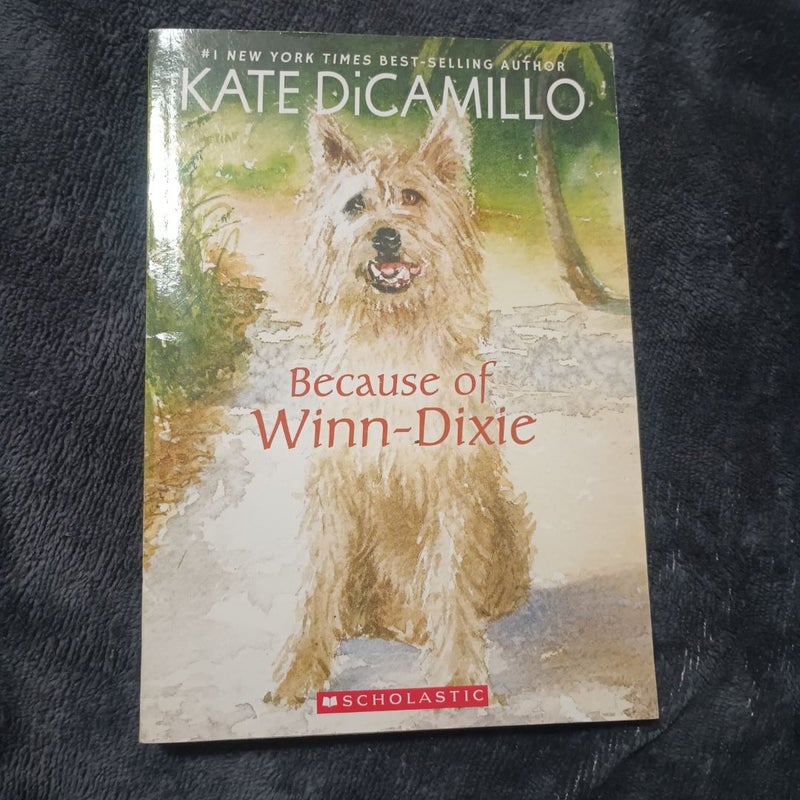 Because of Winn-Dixie
