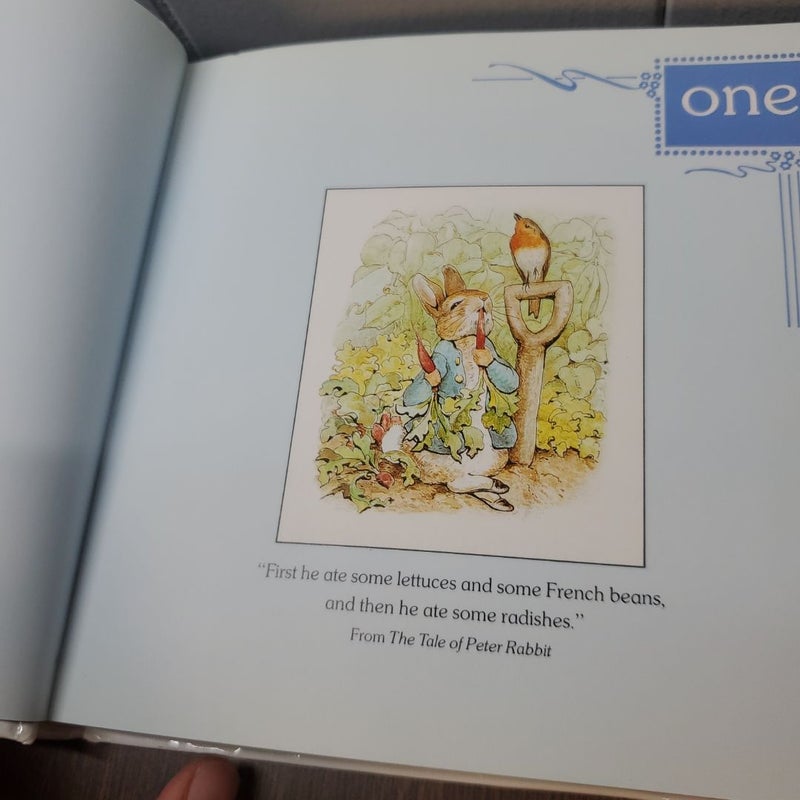 Peter Rabbit Little Learning Book