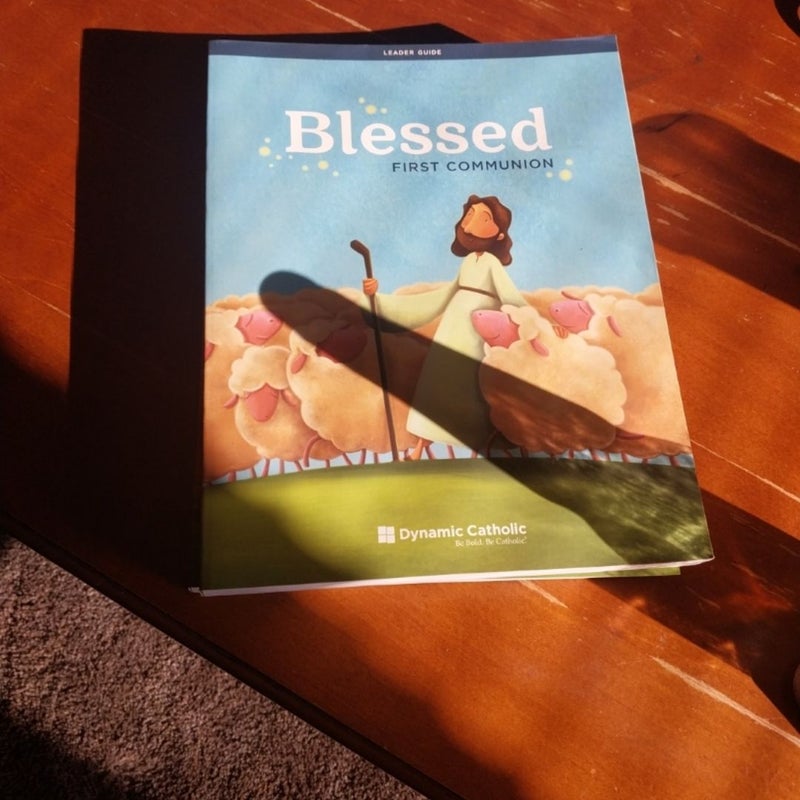 Dynamic Catholic Blessed Books Leader Guides