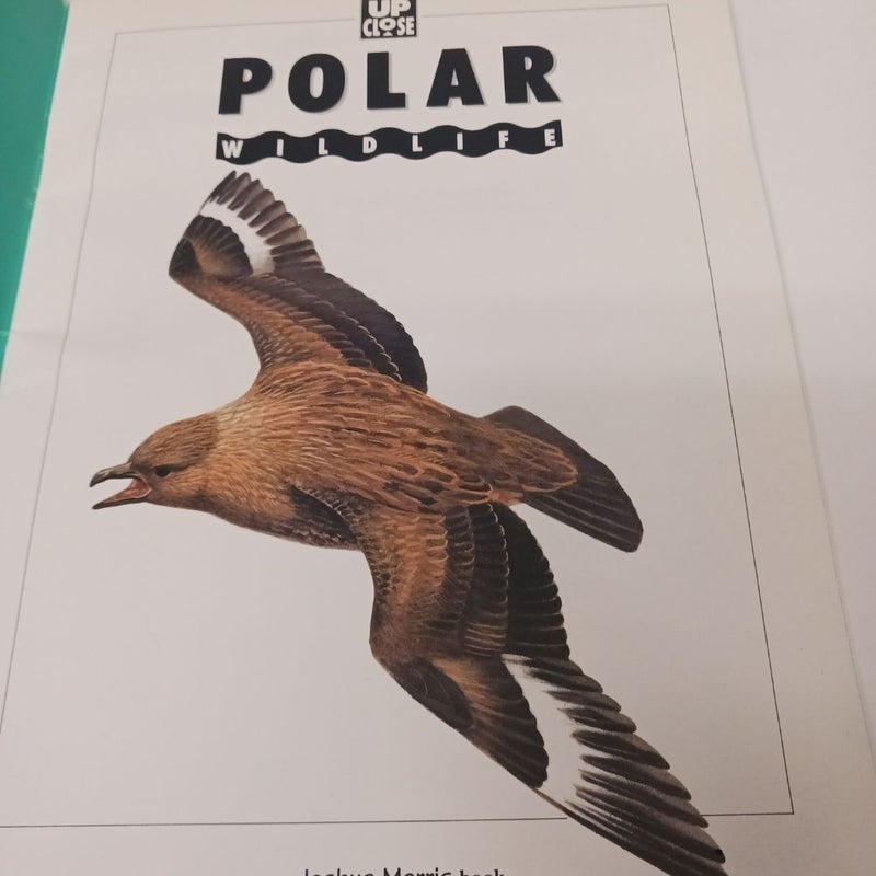 Polar Wildlife