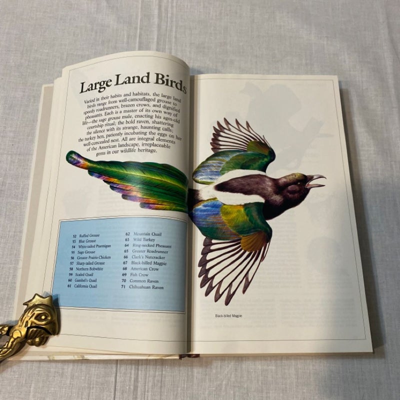 Book of North American Birds