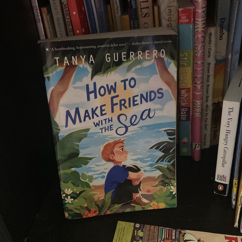 How to Make Friends with the Sea