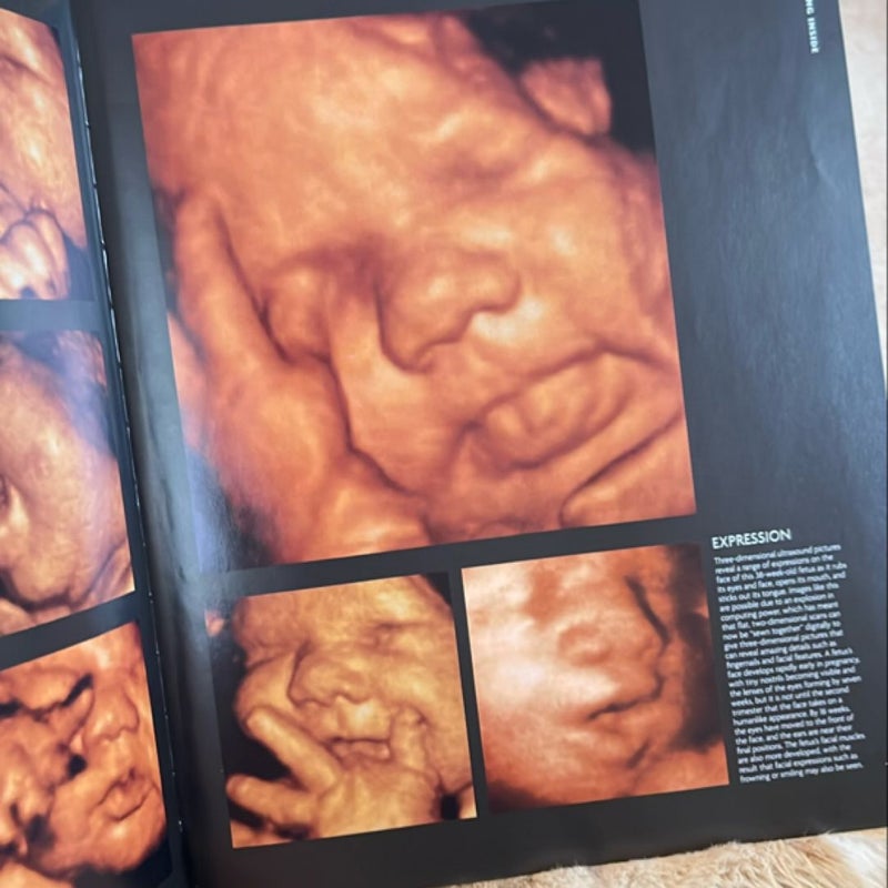 The Pregnant Body Book