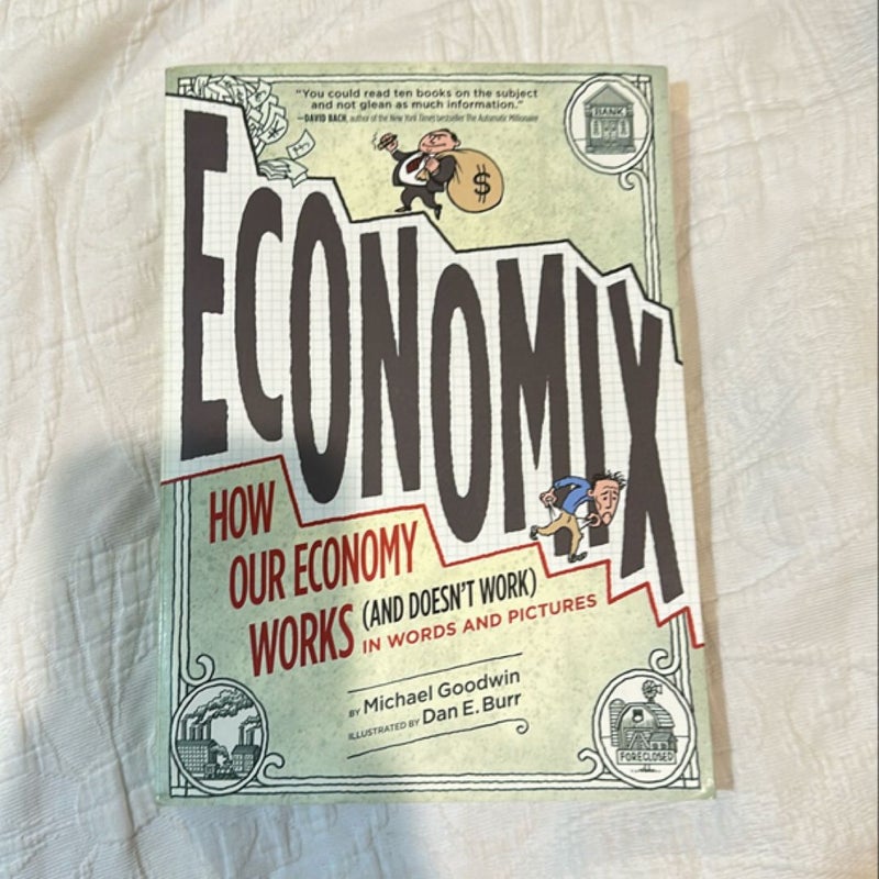 Economix: How and Why Our Economy Works (and Doesn't Work) in Words and Pictures