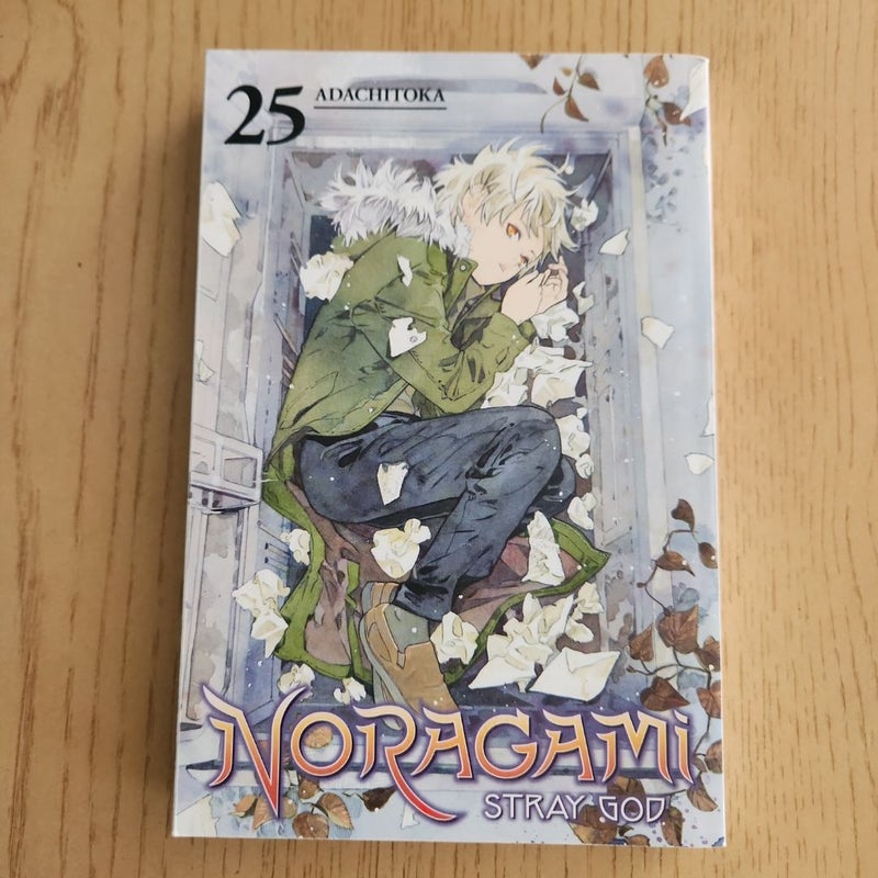 Noragami: Stray God 25