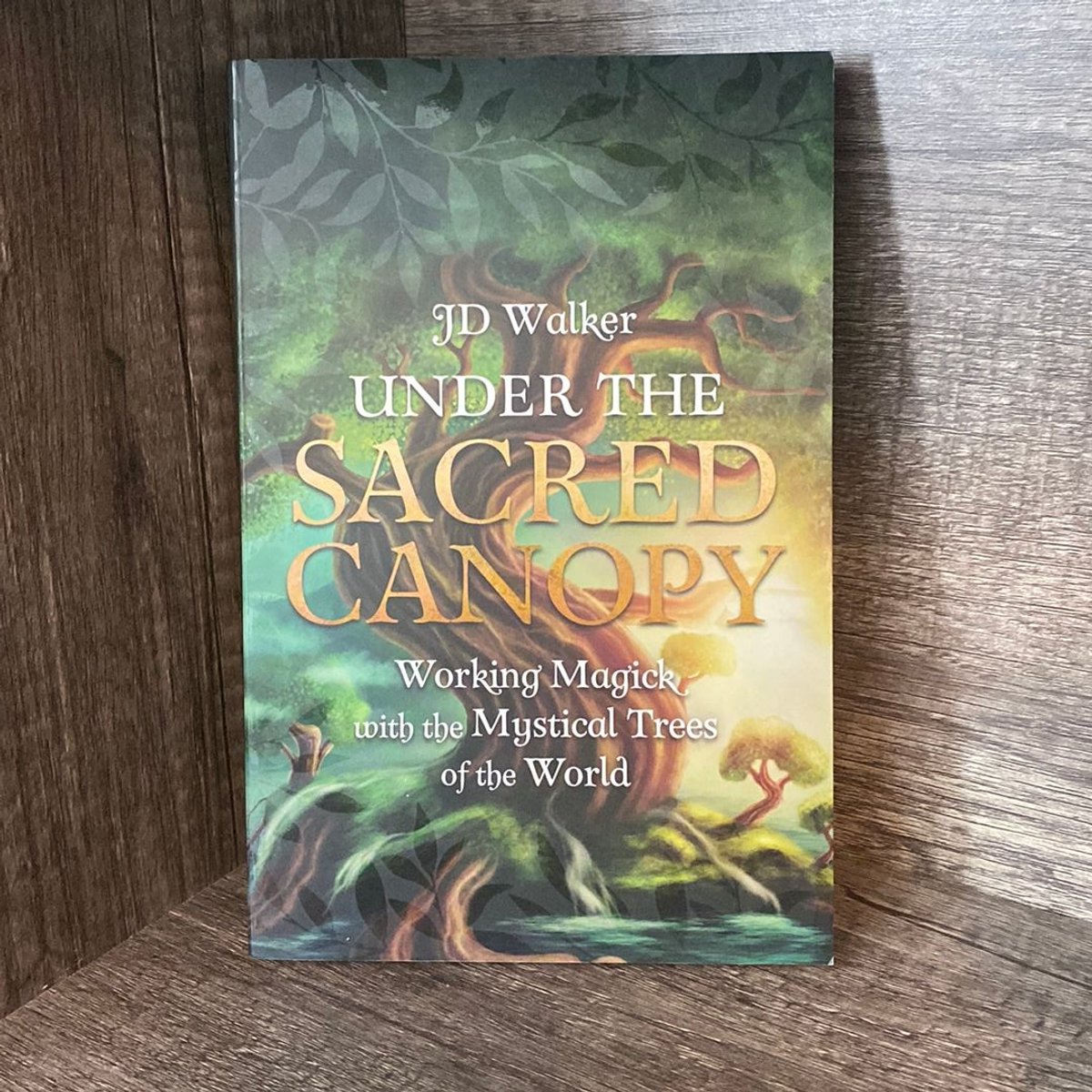Under the Sacred Canopy by J. D. Walker