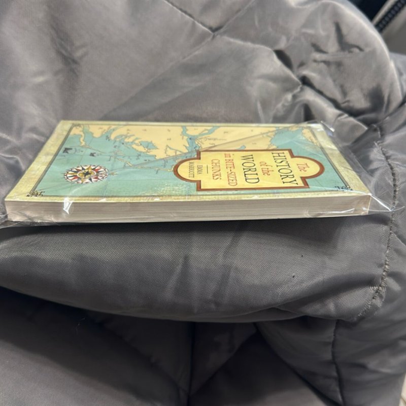 The History of the World in Bite-Sized Chunks