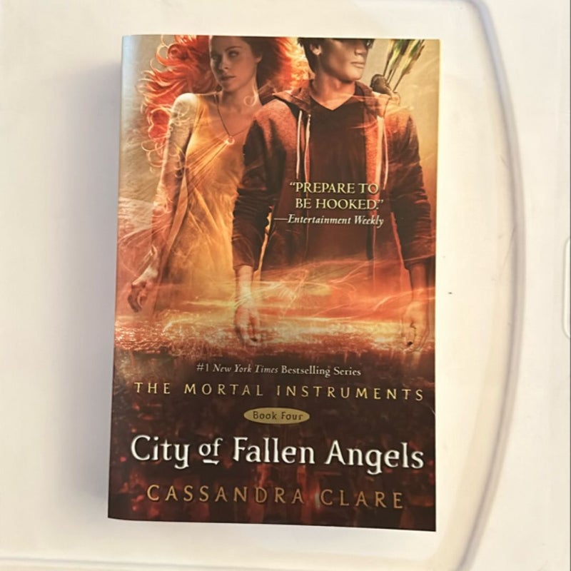 City of Fallen Angels