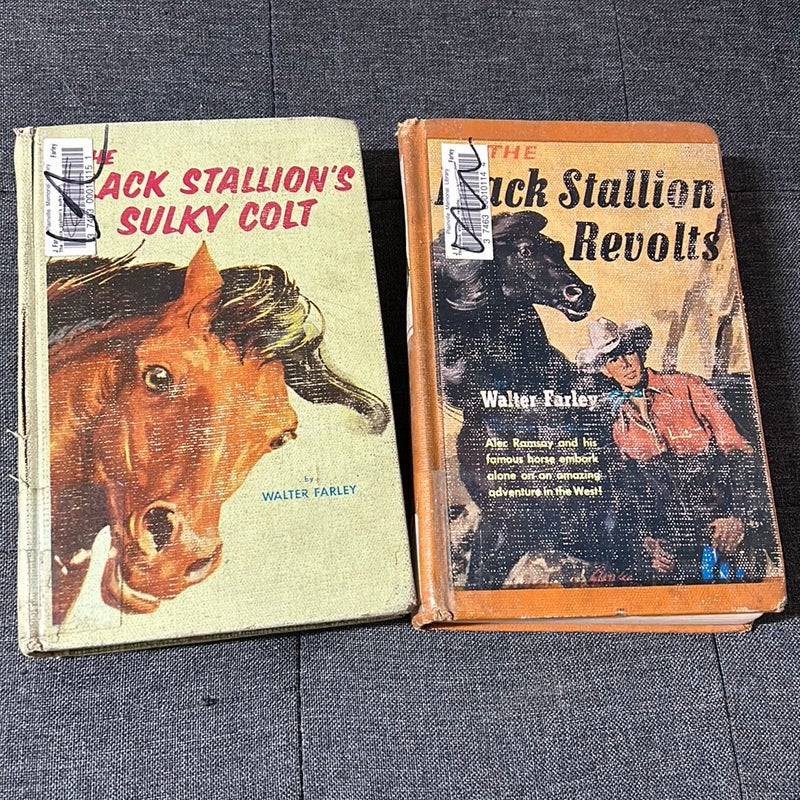 The Black Stallion Books