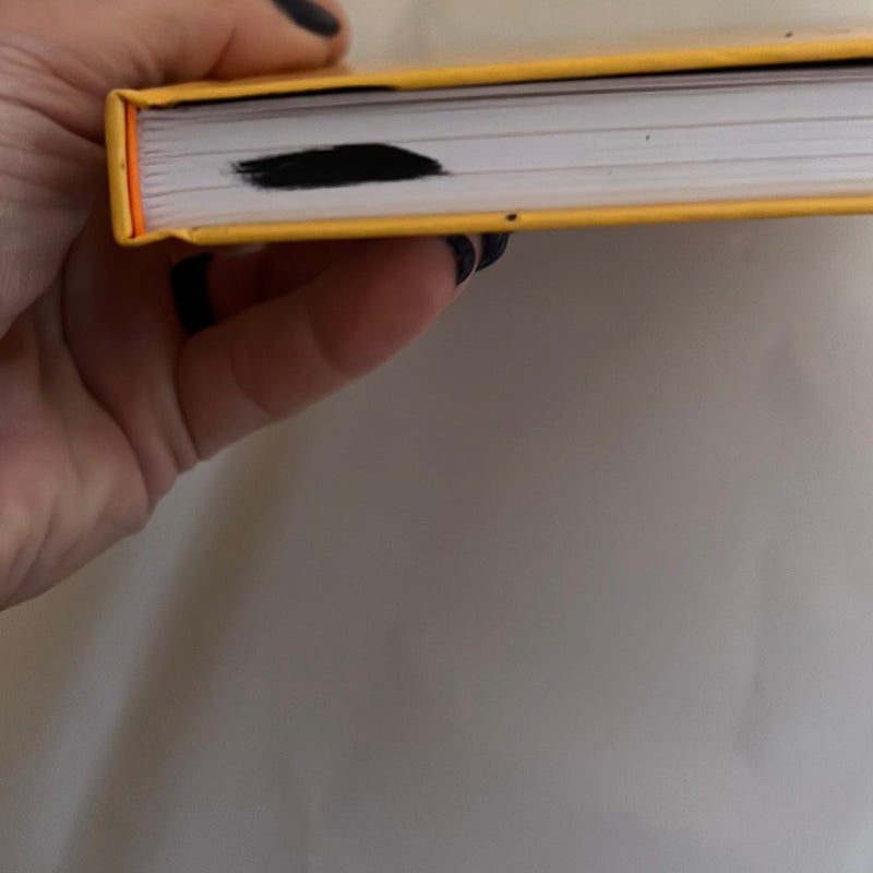 Virgo: a Guided Journal