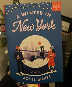 A Winter in New York