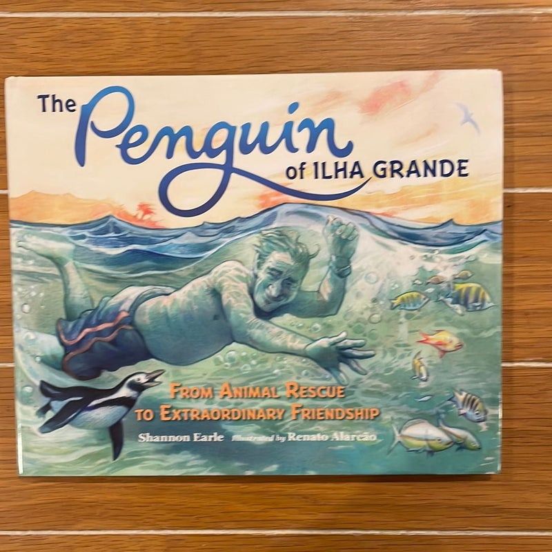 The Penguin of Ilha Grande