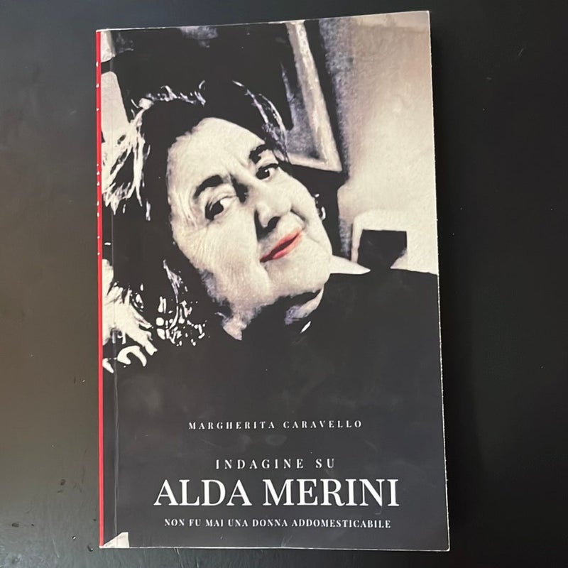 Indagine Su Alda Merini by Margherita Caravello, Paperback
