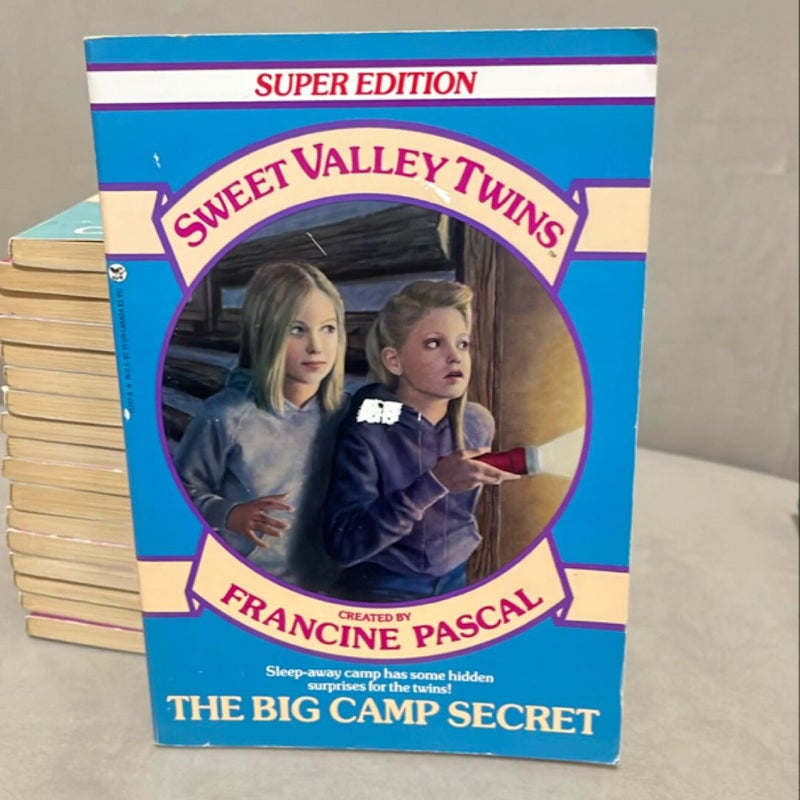 Sweet Valley Twins Bundle