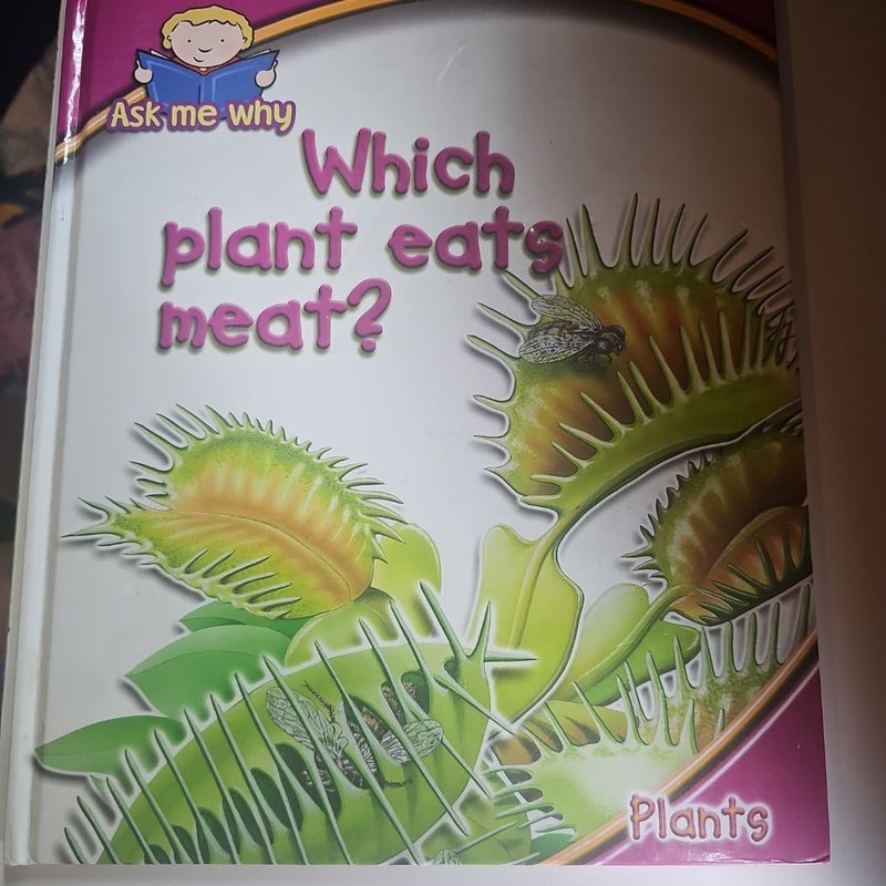 Which plants eat meat