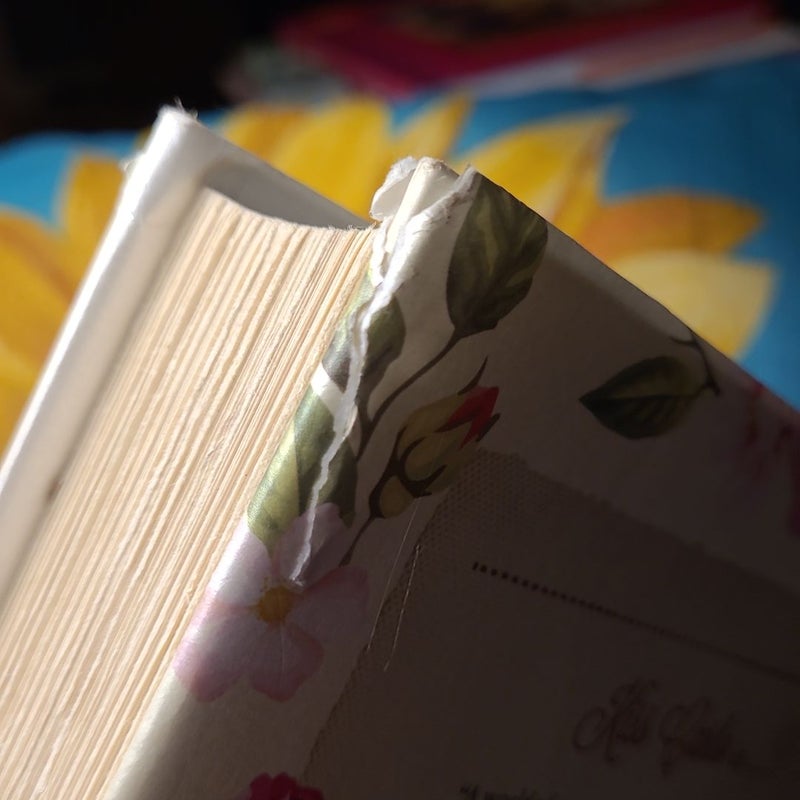 Kiss Carlo *First Edition*