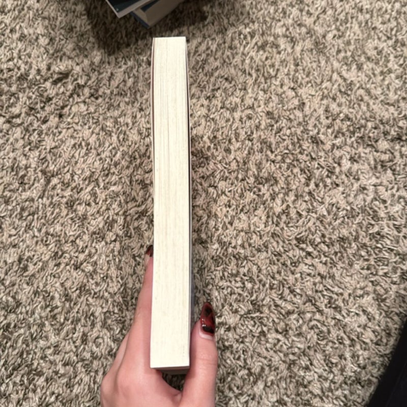This Book Is Gay