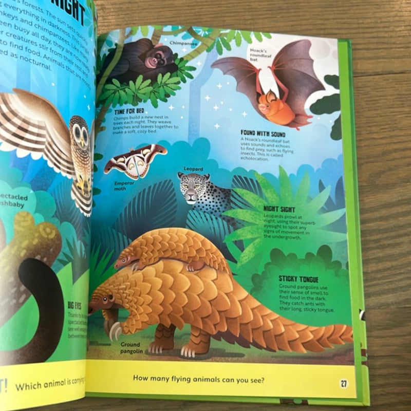 My First Jungle Atlas