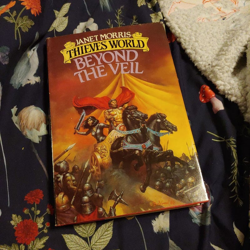 Thieves' World:  Beyond the Veil