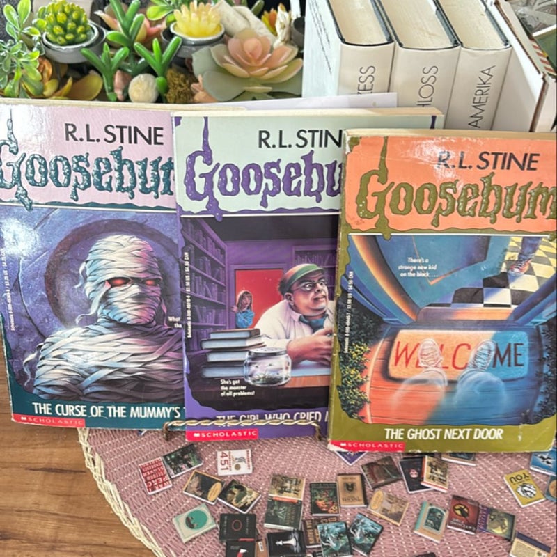 Goosebumps 3 book bundle from 1993