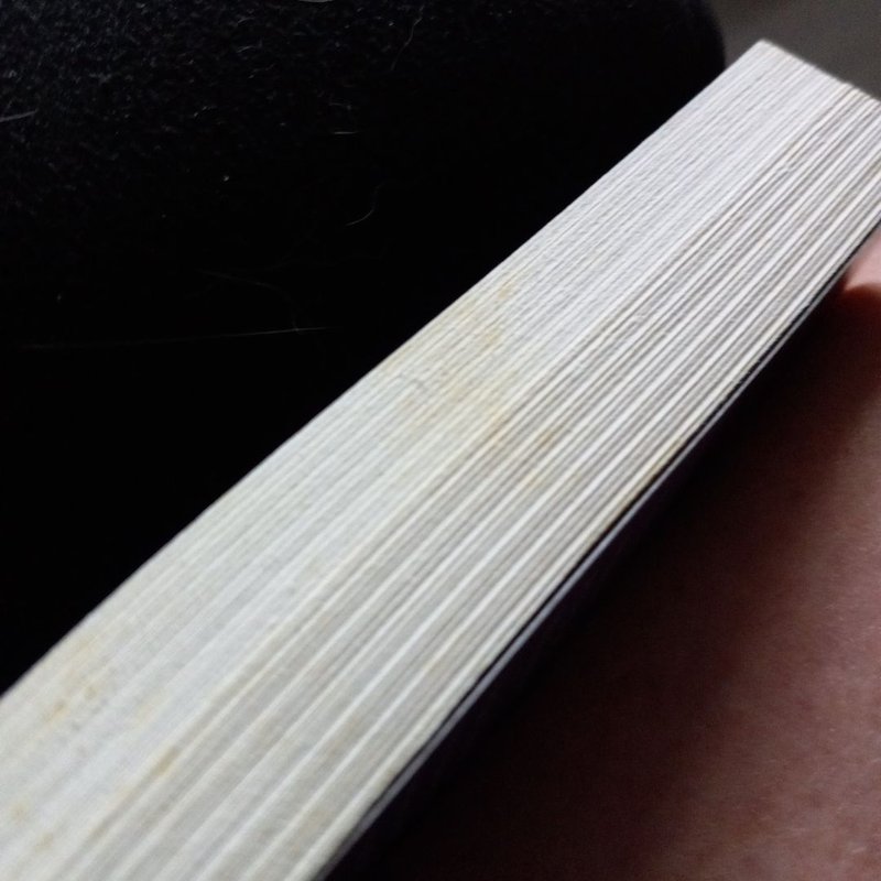 The House on Tradd Street